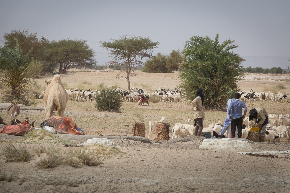 Sophie et Bernard-Nicolas-Sidi et Bouha-Fx