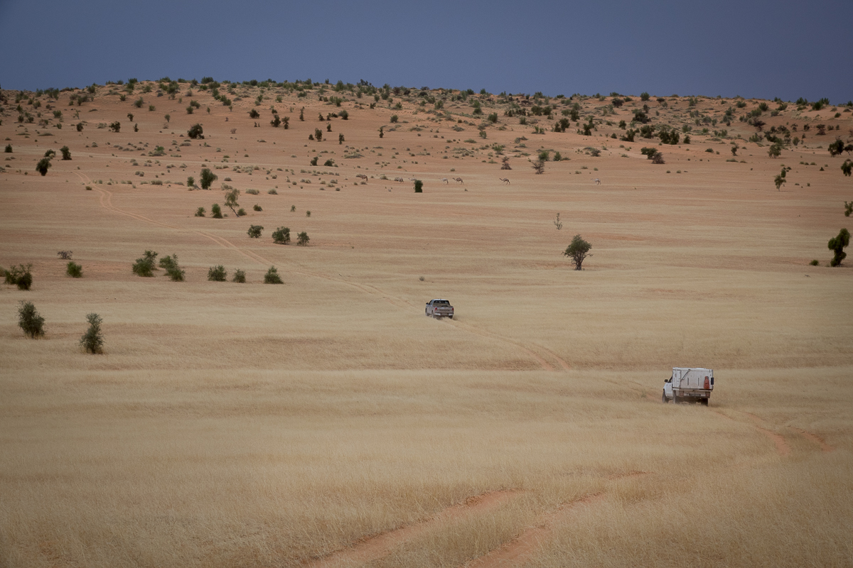 Sophie et Bernard-Nicolas-Sidi et Bouha-Fx