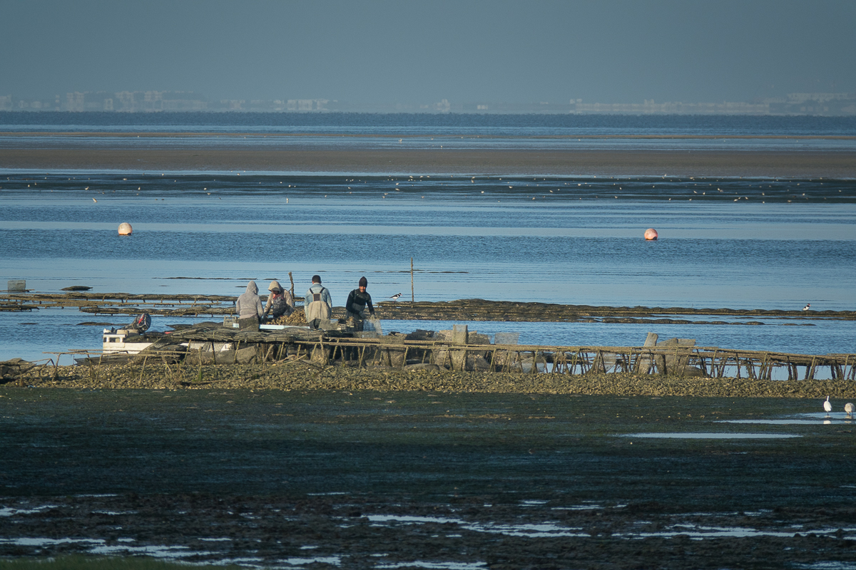 Sophie et Bernard-Nicolas-Sidi et Bouha-Fx