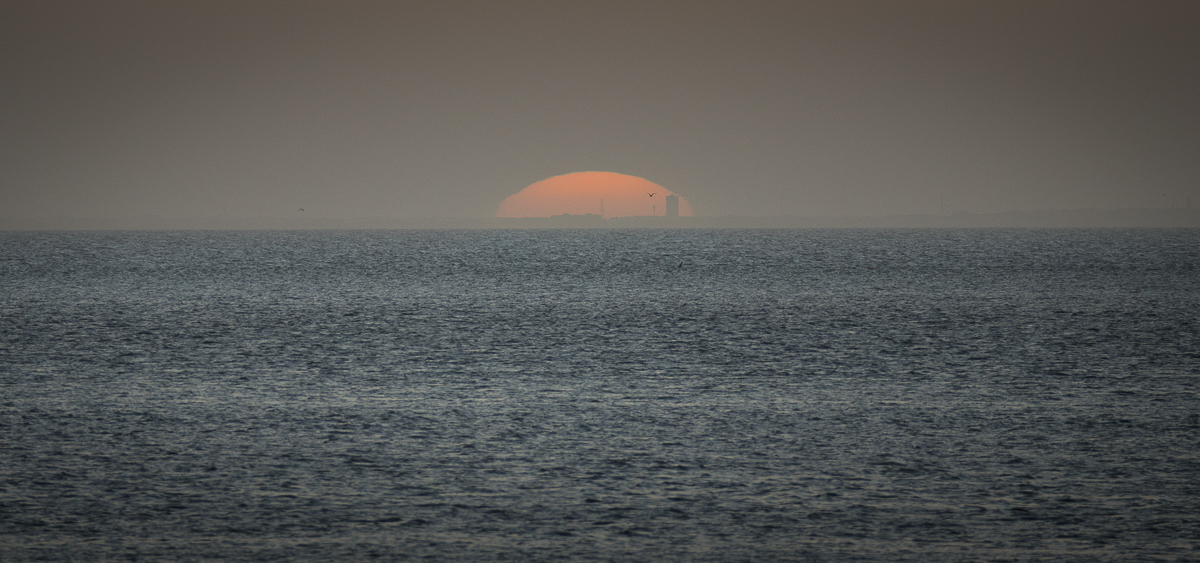 Sophie et Bernard-Nicolas-Sidi et Bouha-Fx