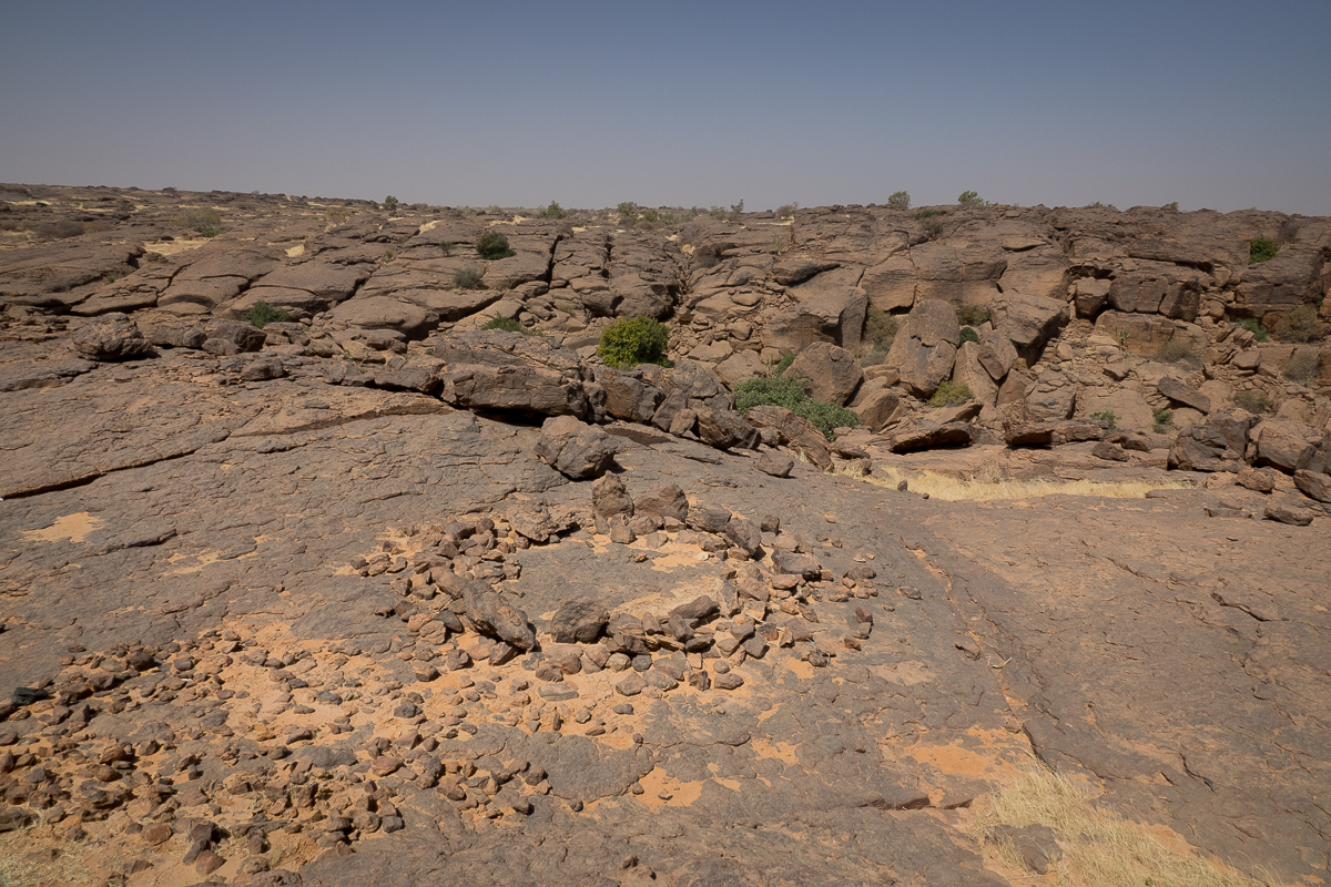 Mauritanie Janvier - Février  2025