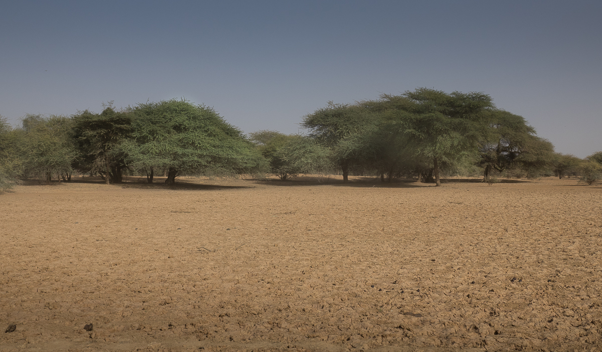 Mauritanie Janvier - Février  2025