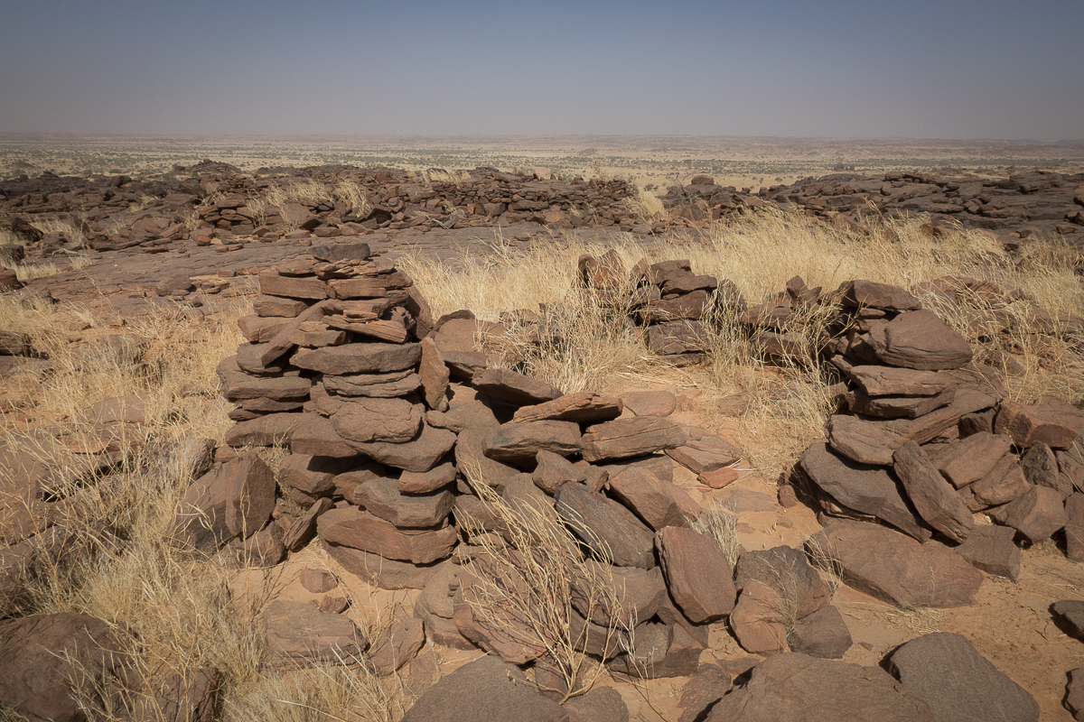 Mauritanie Janvier - Février  2025