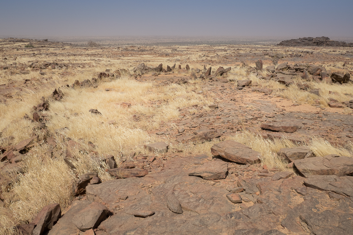 Mauritanie Janvier - Février  2025