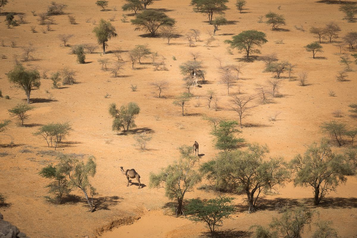 Mauritanie Janvier - Février  2025