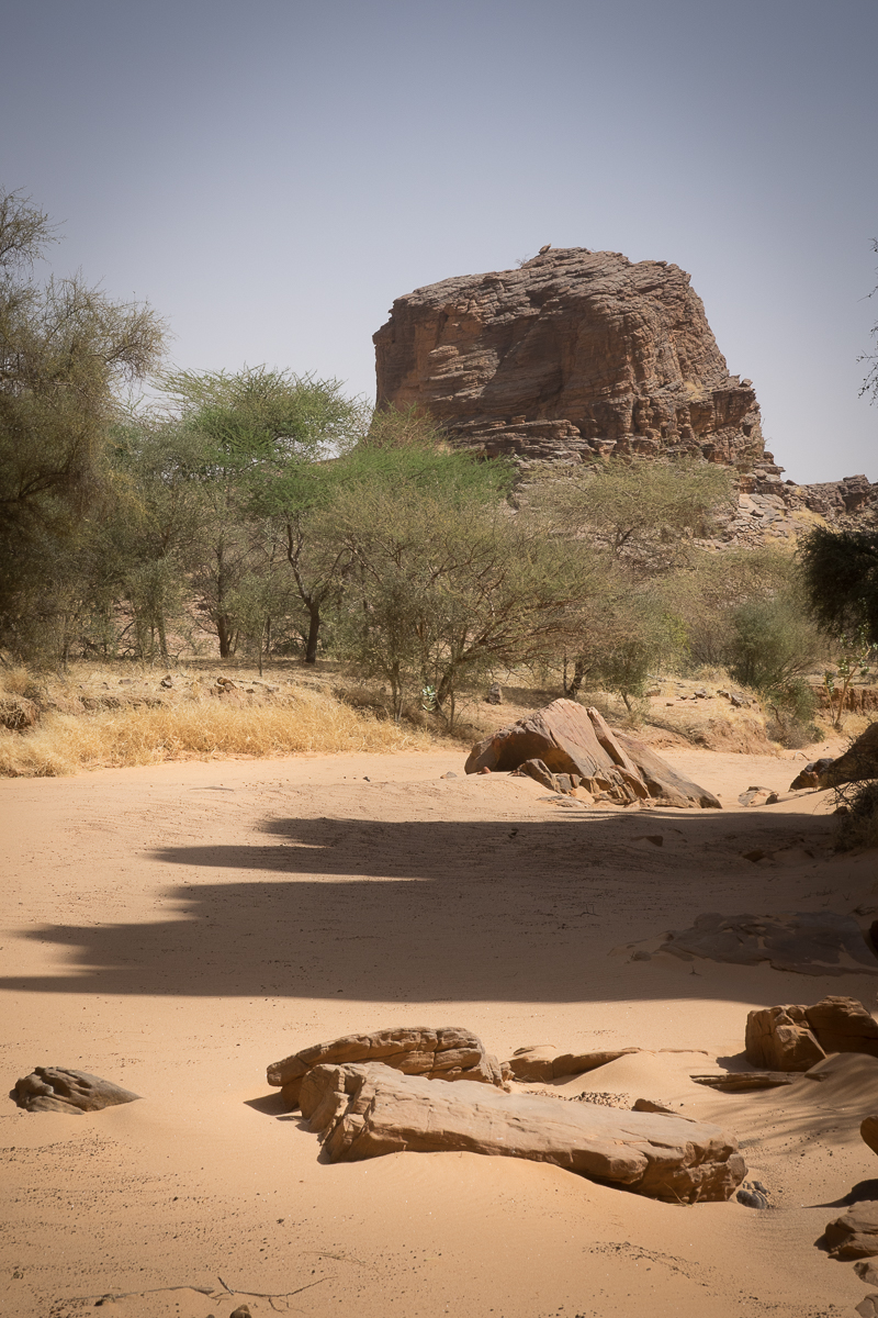 Mauritanie Janvier - Février  2025