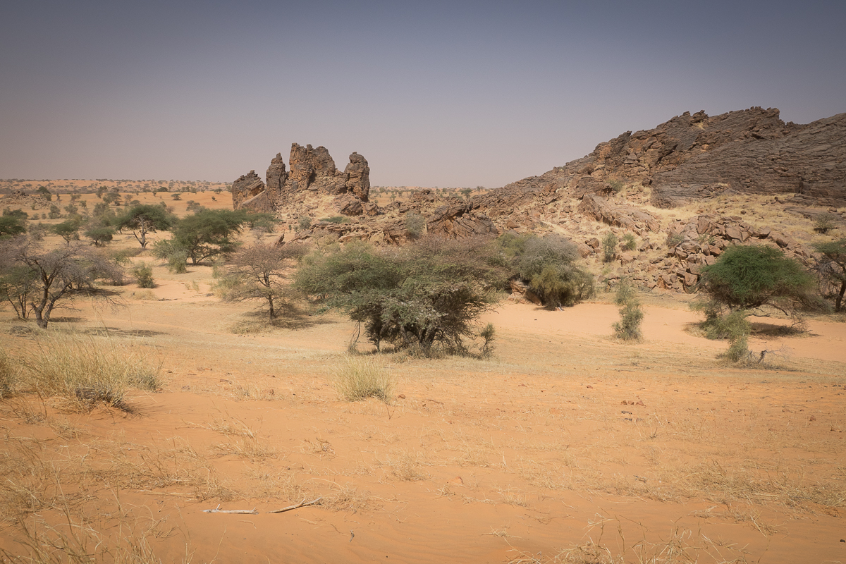 Mauritanie Janvier - Février  2025