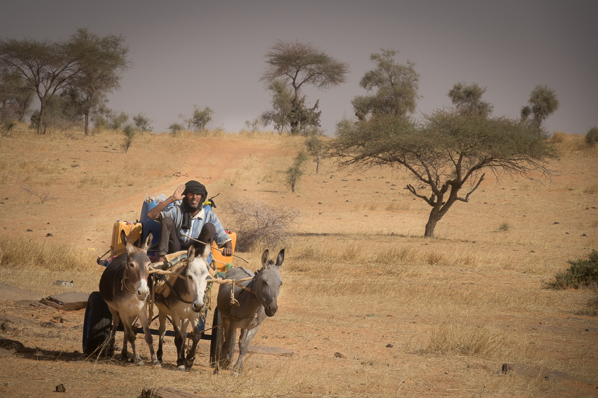 Mauritanie Janvier - Février  2025