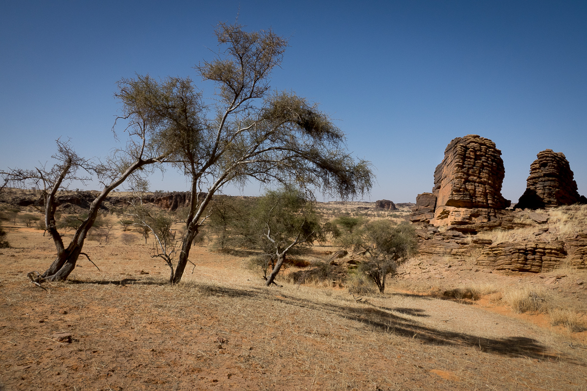 Mauritanie Janvier - Février  2025