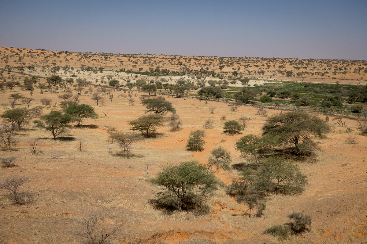 Mauritanie Janvier - Février  2025