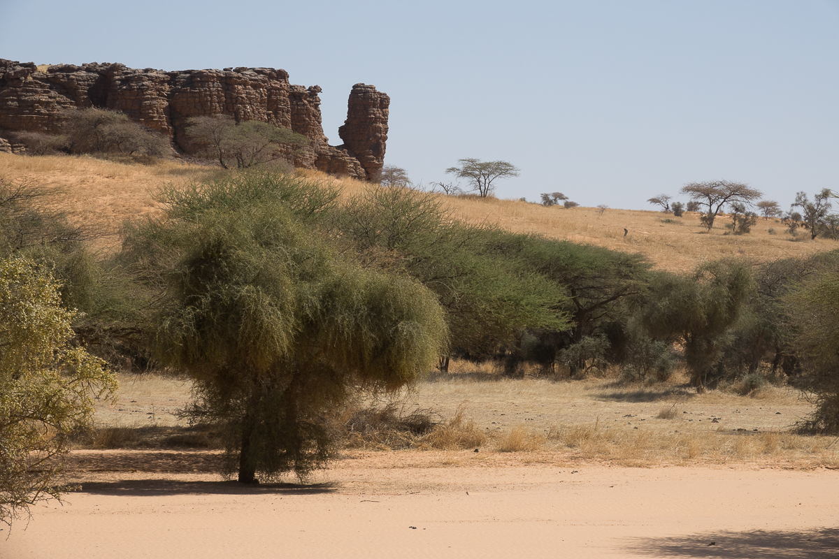 Mauritanie Janvier - Février  2025