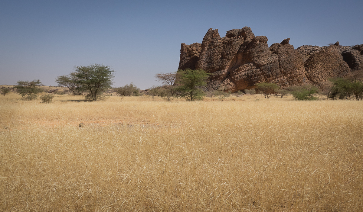 Mauritanie Janvier - Février  2025