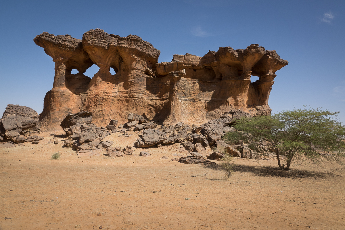 Mauritanie Janvier - Février  2025