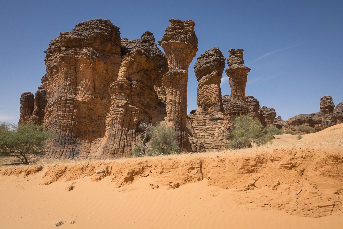 Mauritanie Janvier - Février  2025