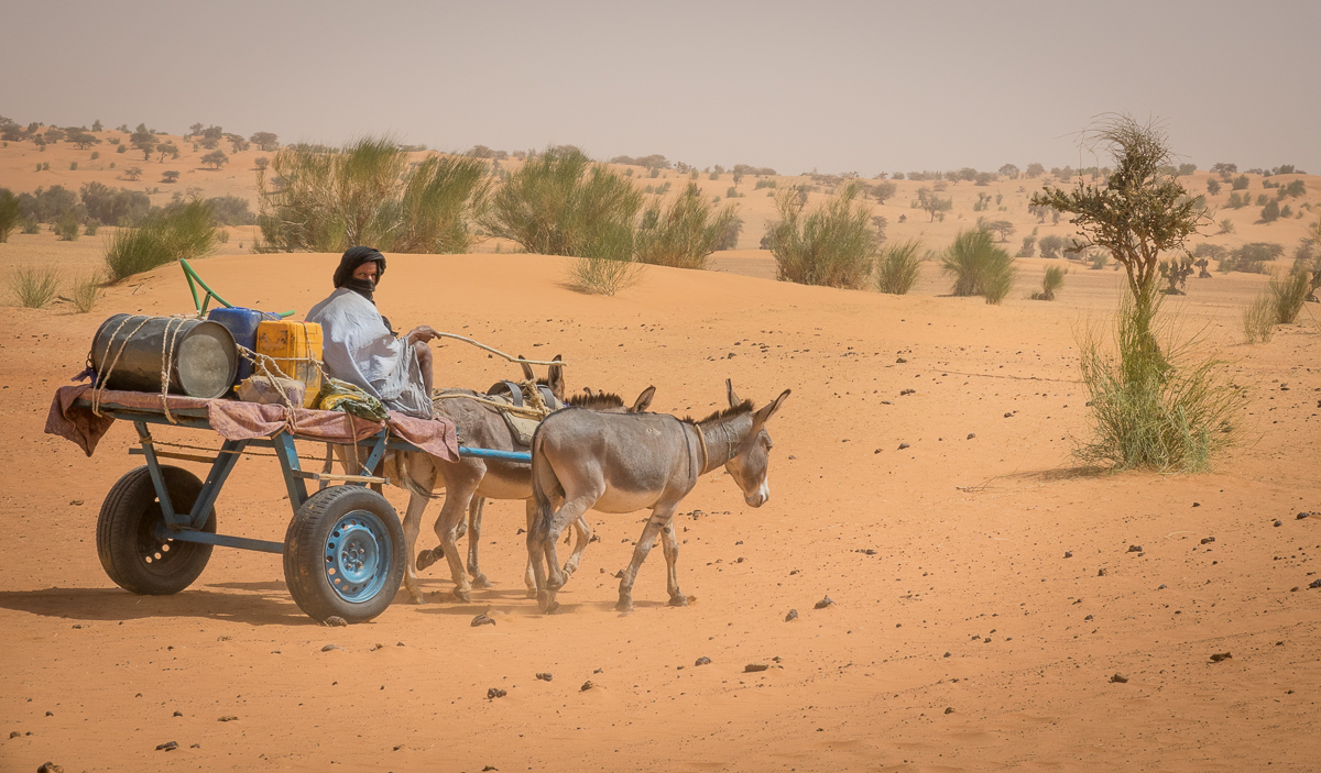 Mauritanie Janvier - Février  2025