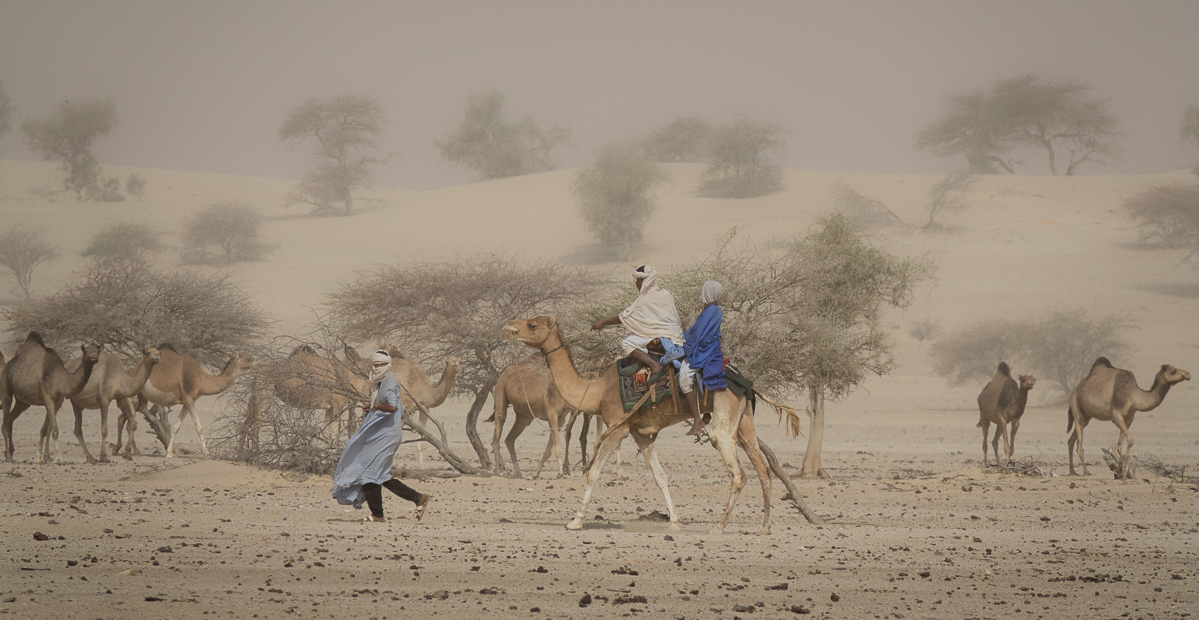 Mauritanie Janvier - Février  2025