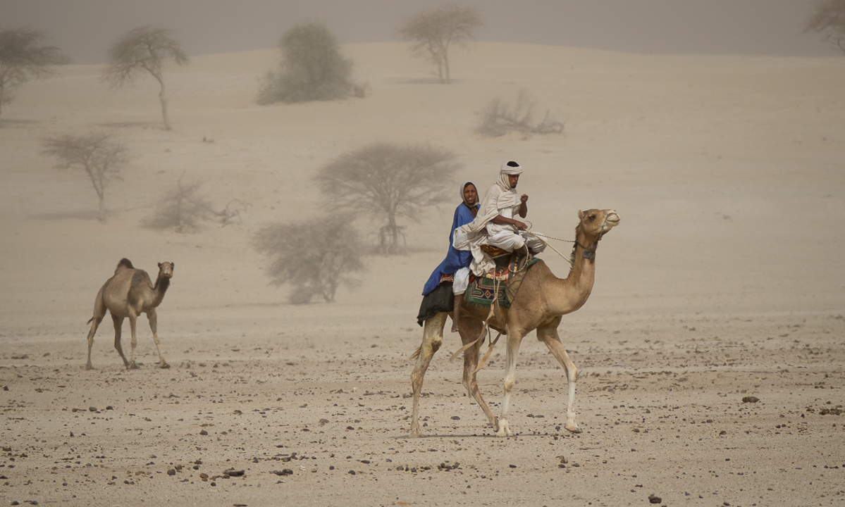 Mauritanie Janvier - Février  2025
