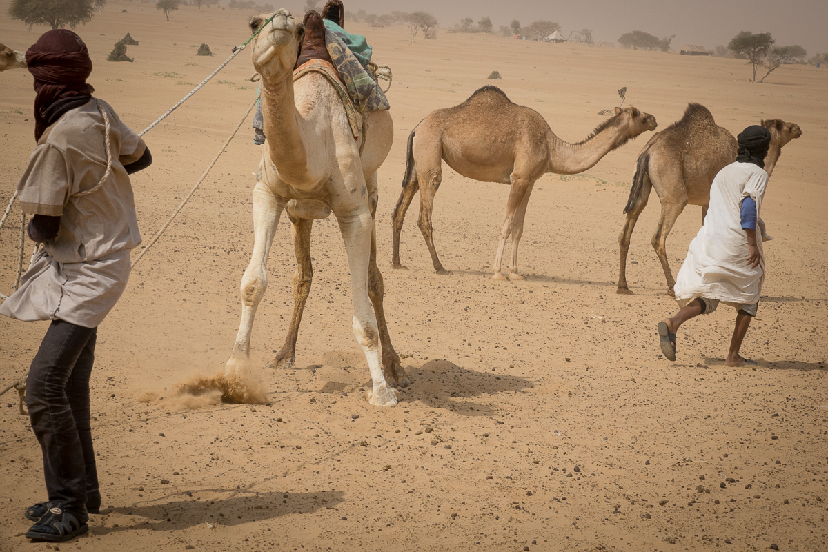 Mauritanie Janvier - Février  2025
