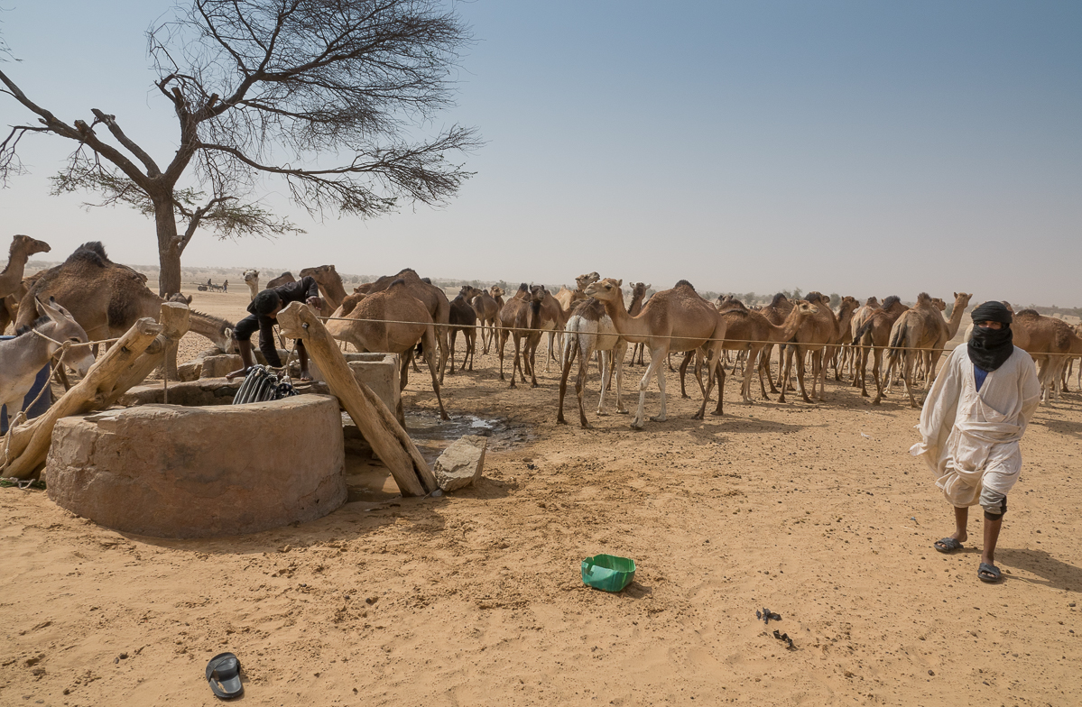 Mauritanie Janvier - Février  2025