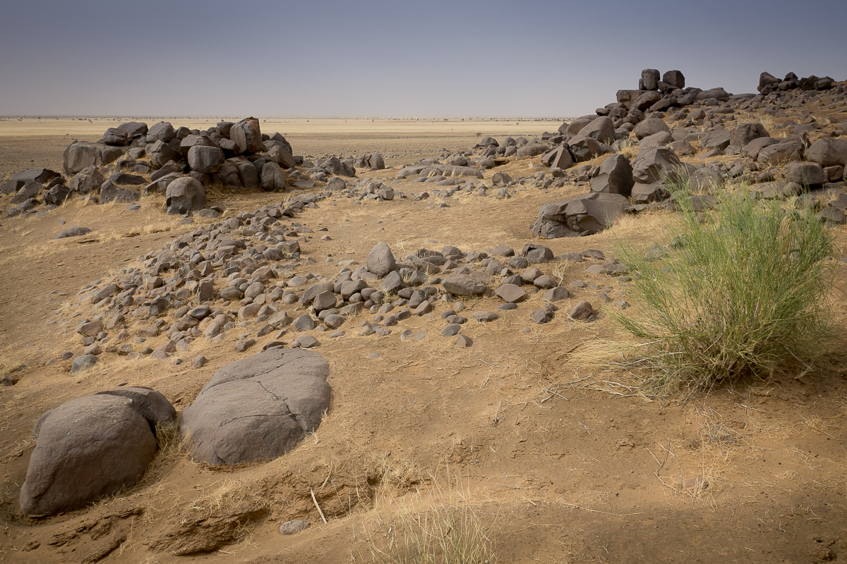 Mauritanie Janvier - Février  2025