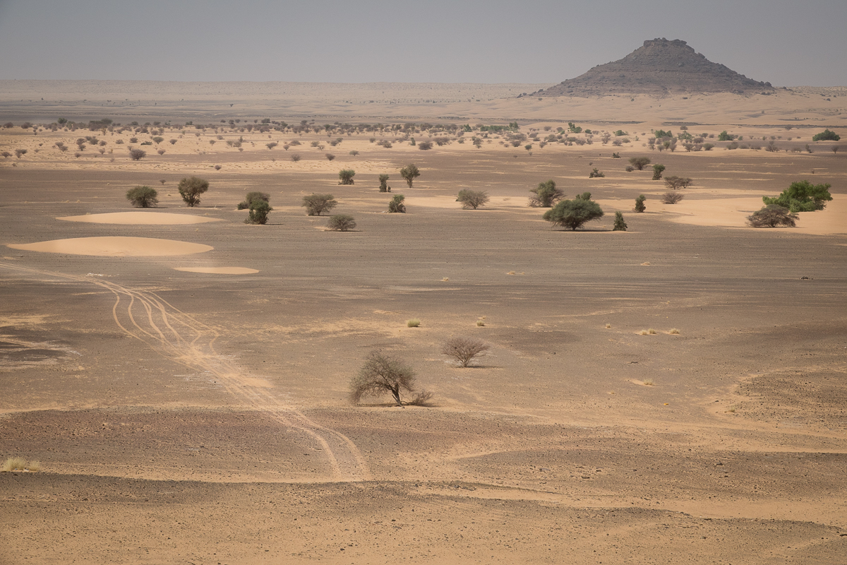 Mauritanie Janvier - Février  2025