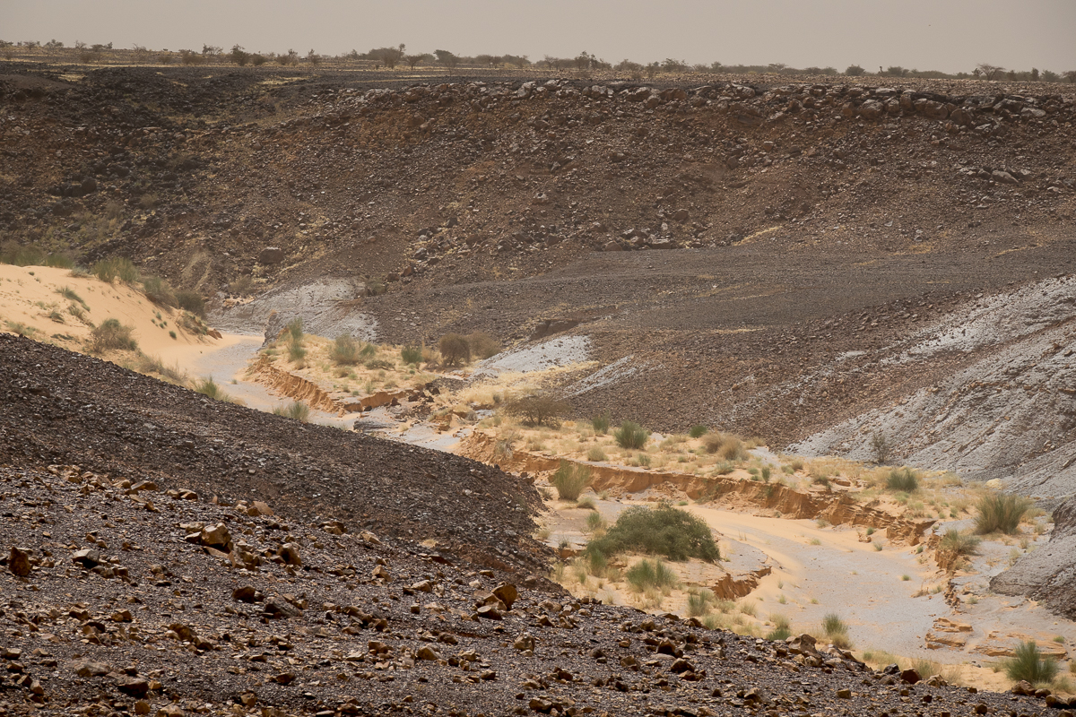 Mauritanie Janvier - Février  2025