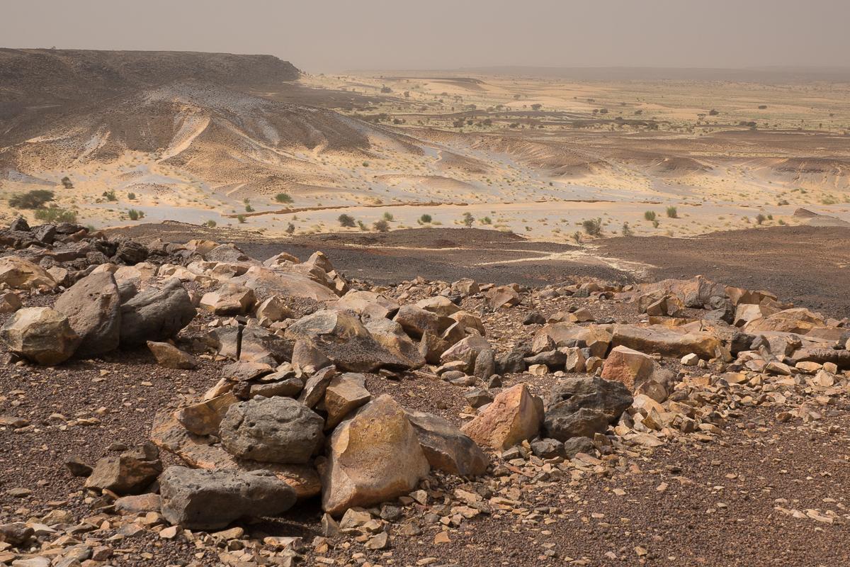 Mauritanie Janvier - Février  2025