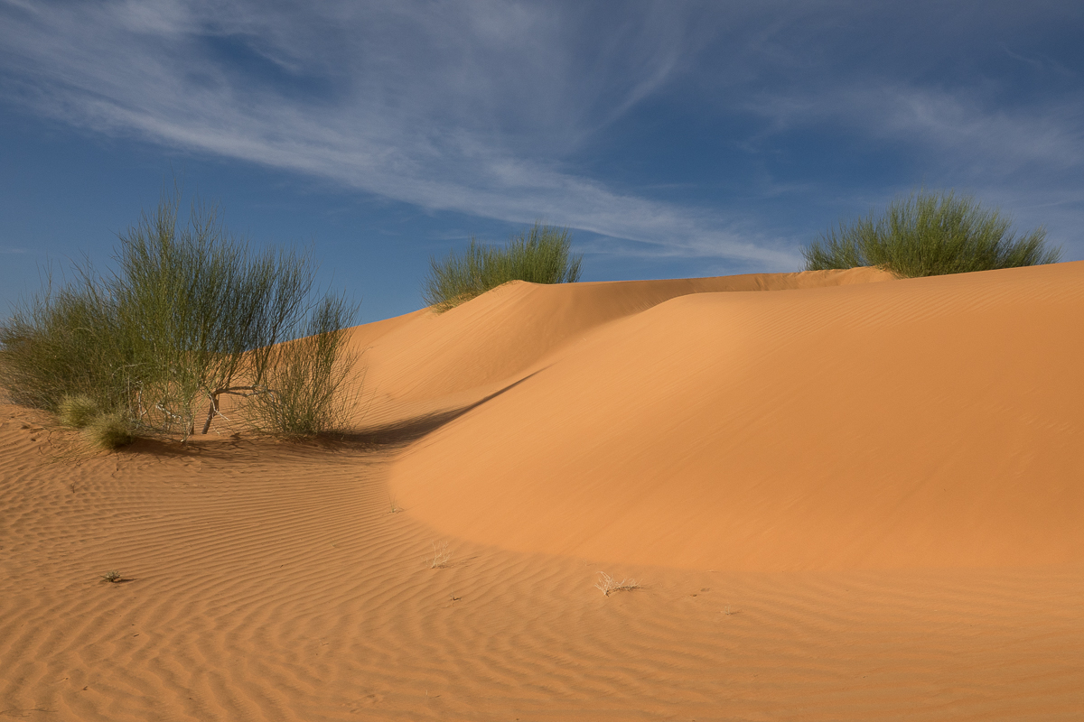 Mauritanie Janvier - Février  2025