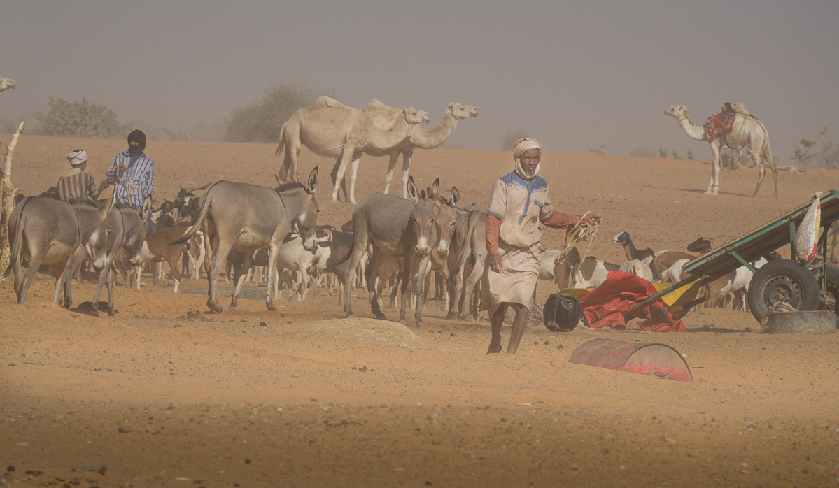 Mauritanie Janvier - Février  2025