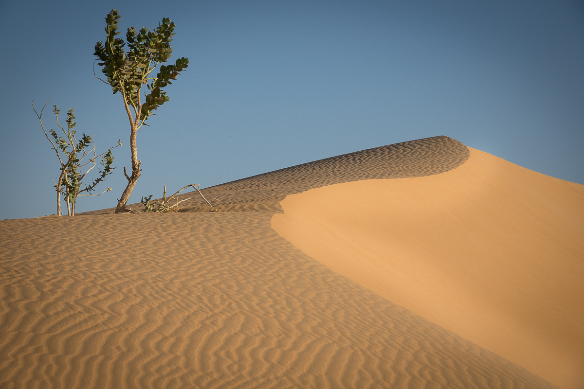 Mauritanie Janvier - Février  2025