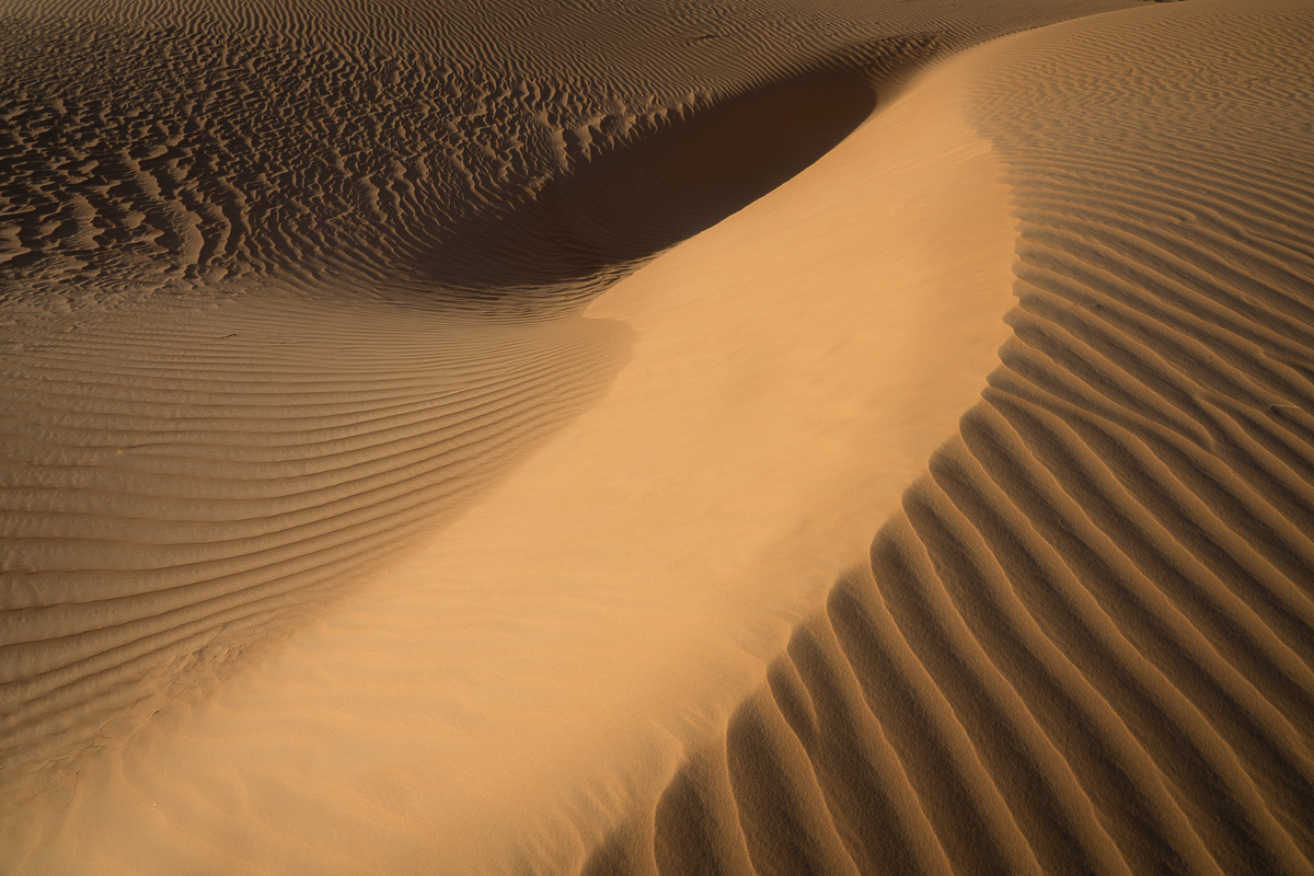 Mauritanie Janvier - Février  2025