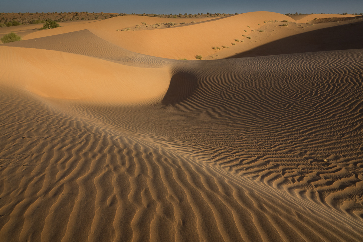 Mauritanie Janvier - Février  2025