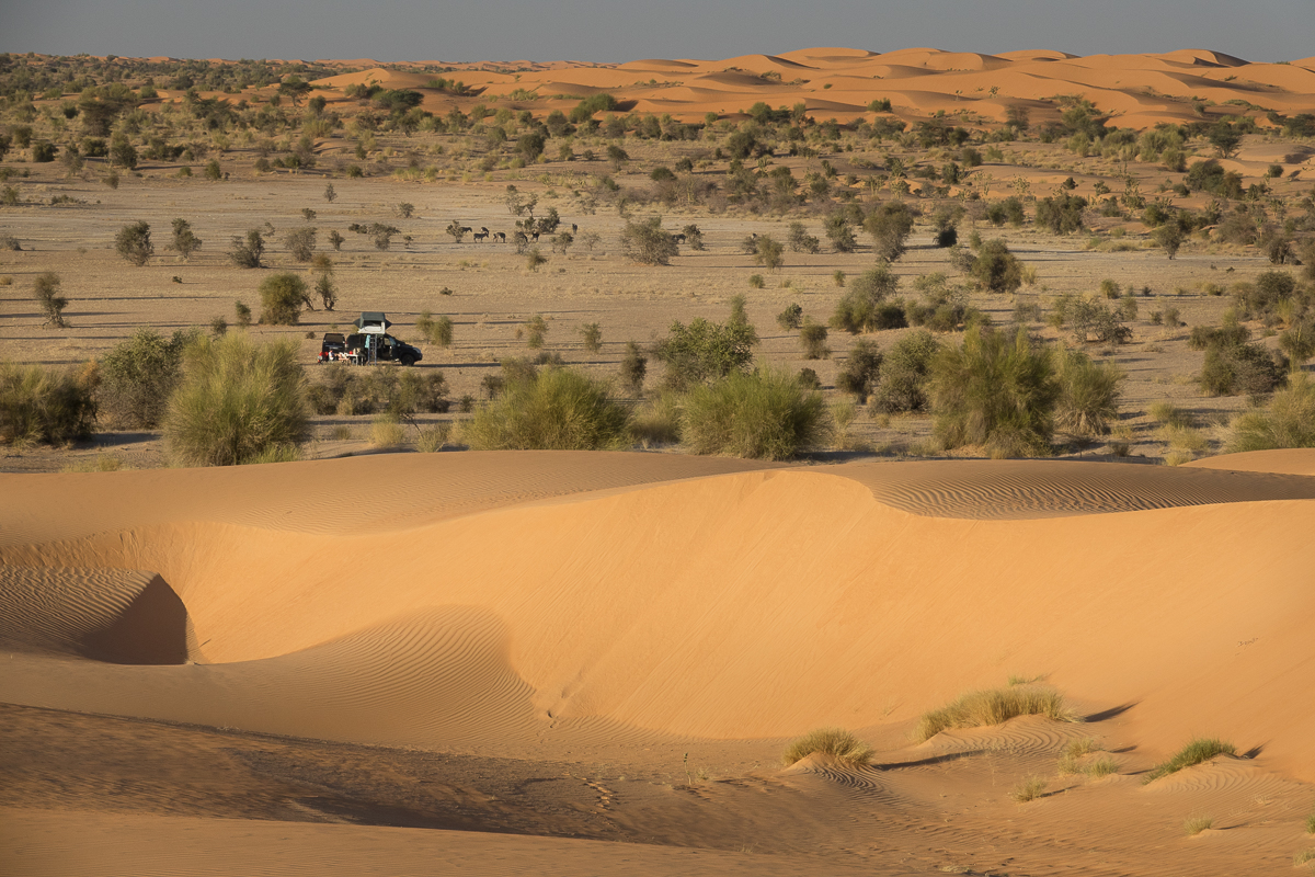 Mauritanie Janvier - Février  2025