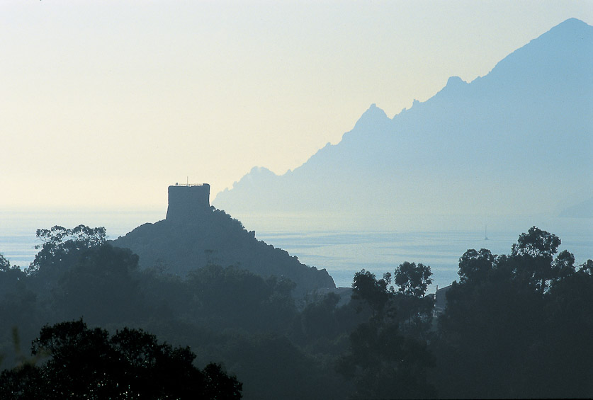 25 juillet 2007