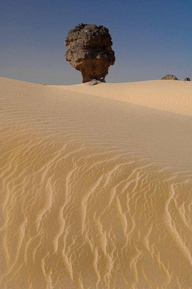 Algérie 2008