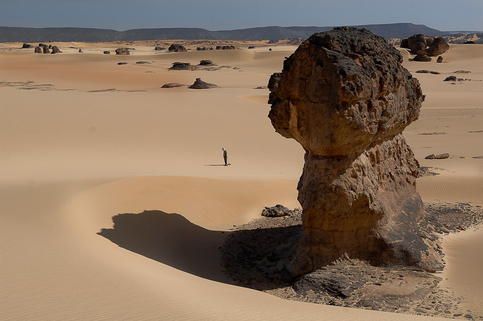 Algérie 2008