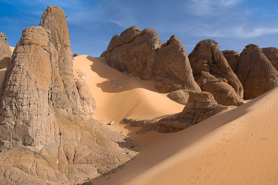 Algérie 2008
