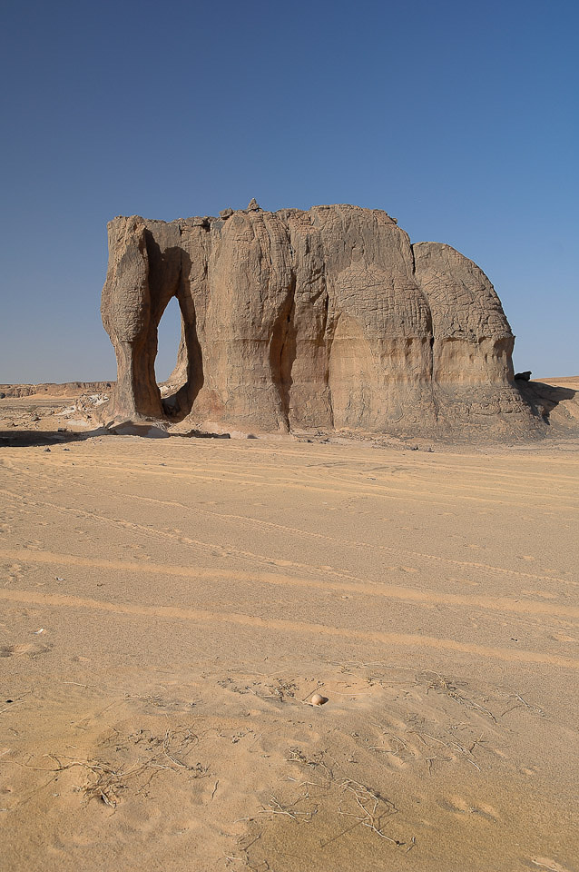 Algérie 2008
