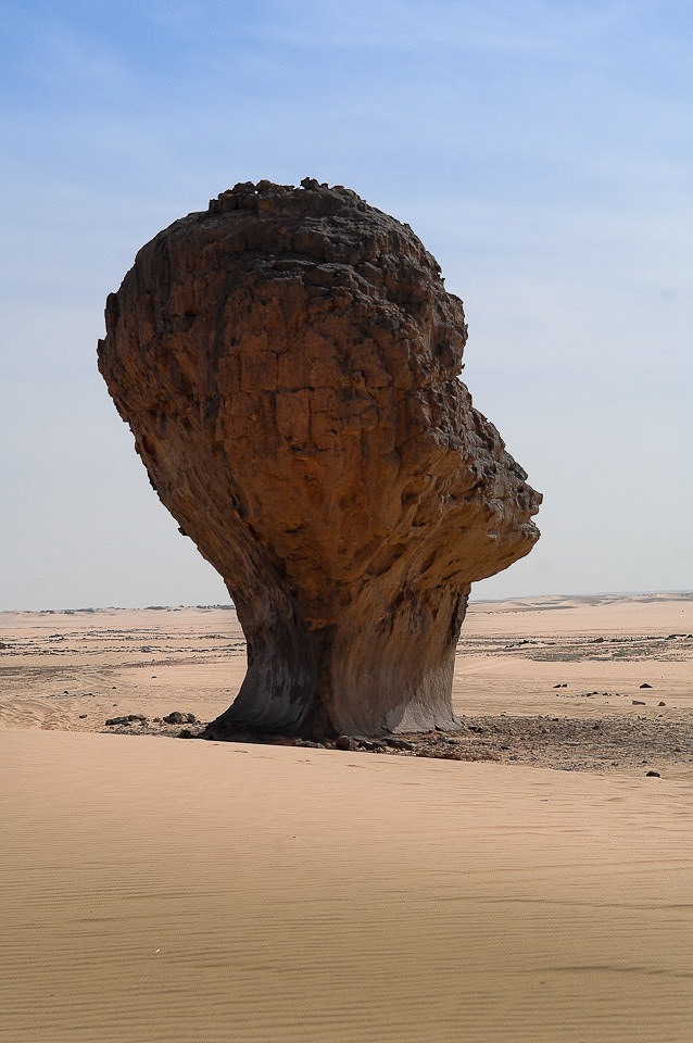 Algérie 2008