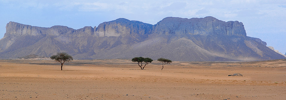 Algérie 2008