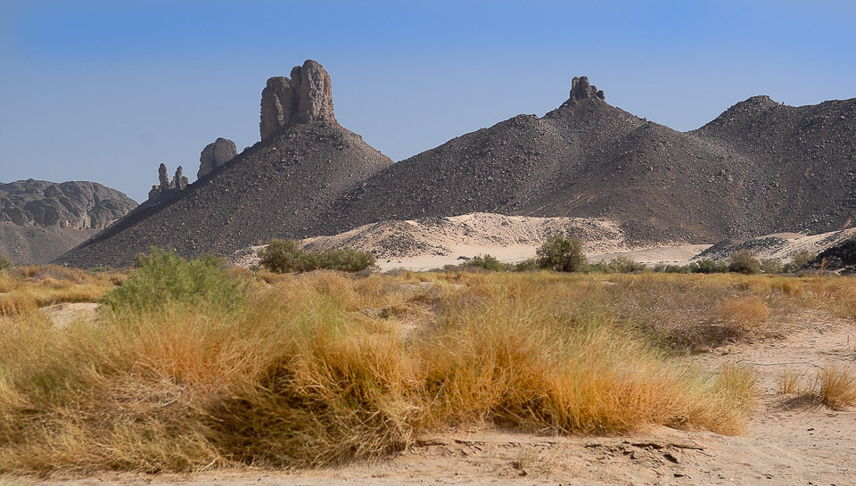 Algérie 2008