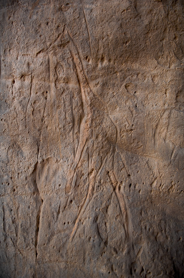 Algérie 2008