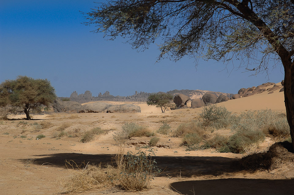 Algérie 2008