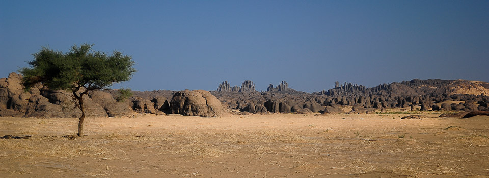 Algérie 2008